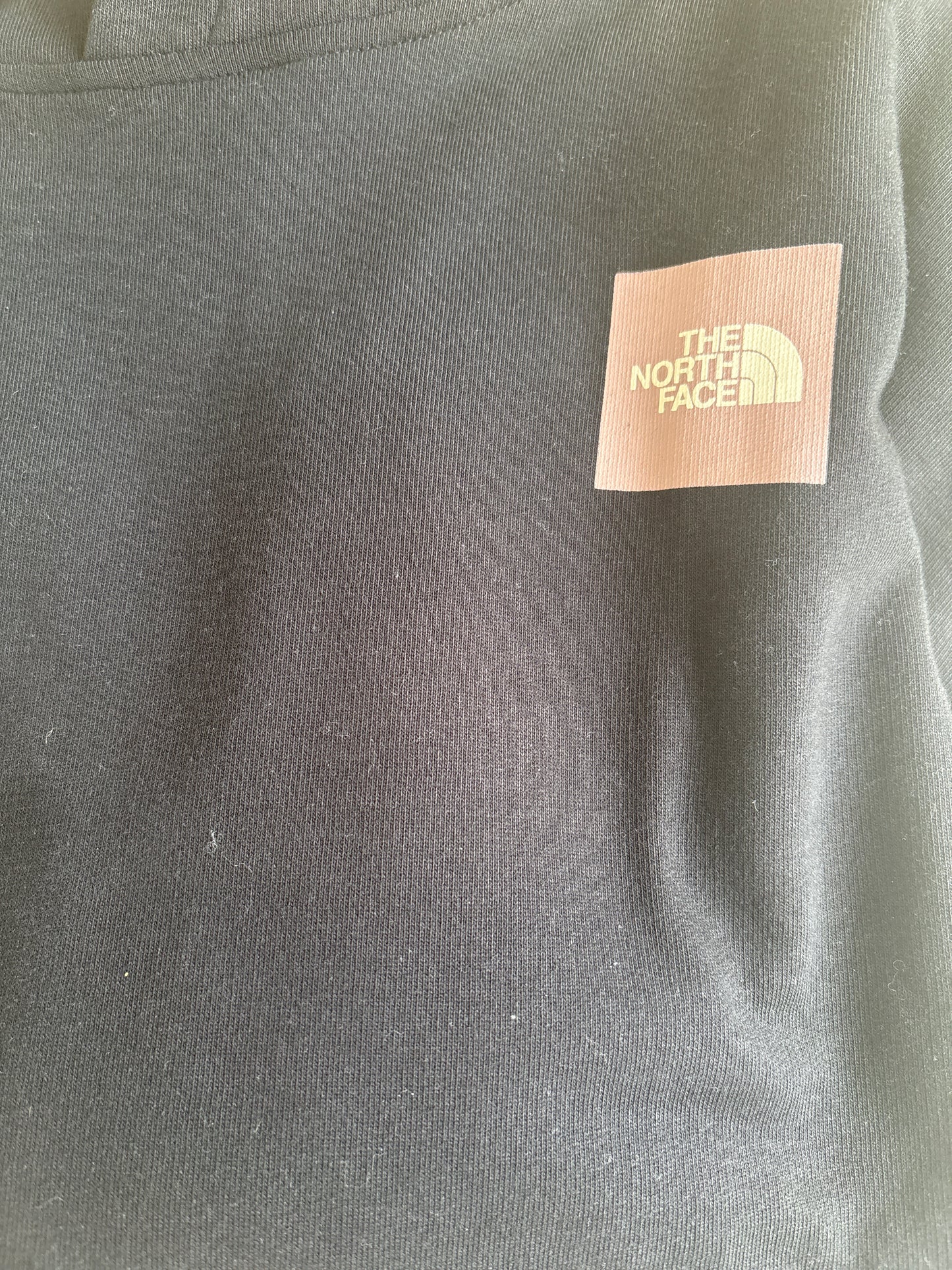North Face Damen Hoodie in schwarz/Flieder, Grösse L