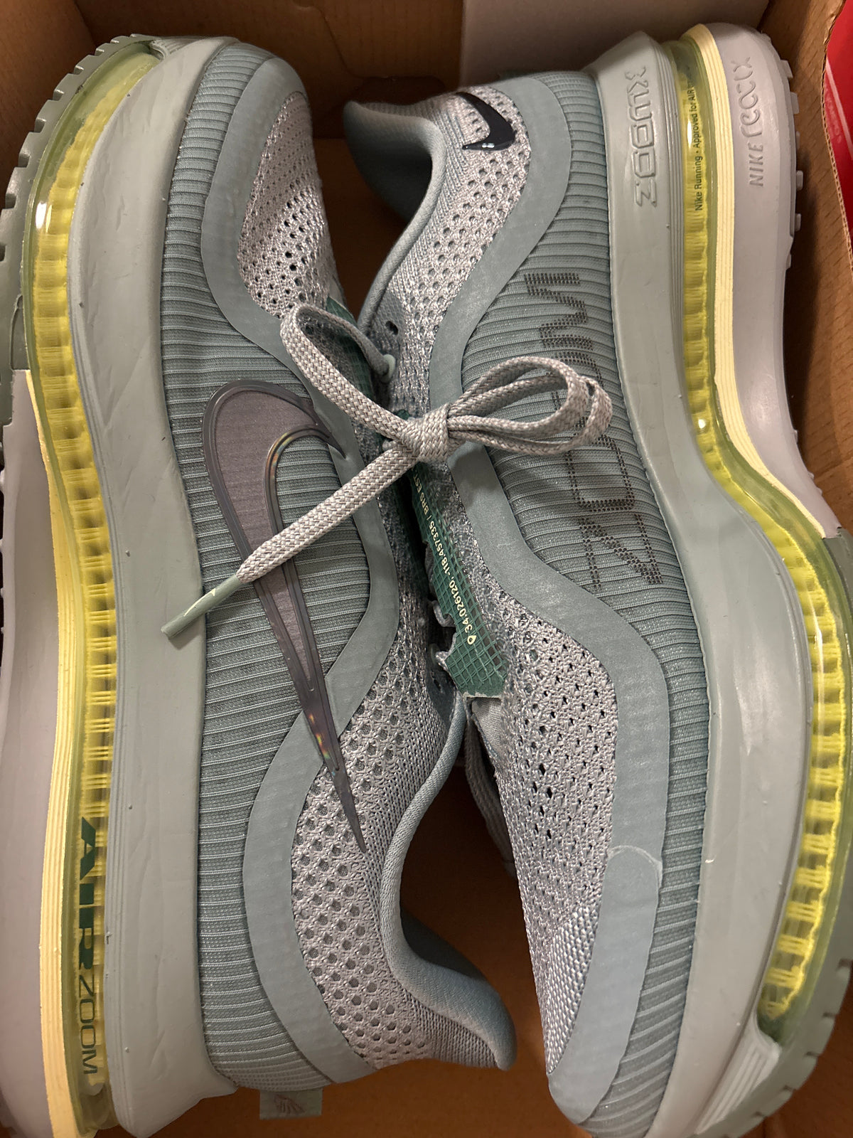Nike Pegasus Premium, Größe 42