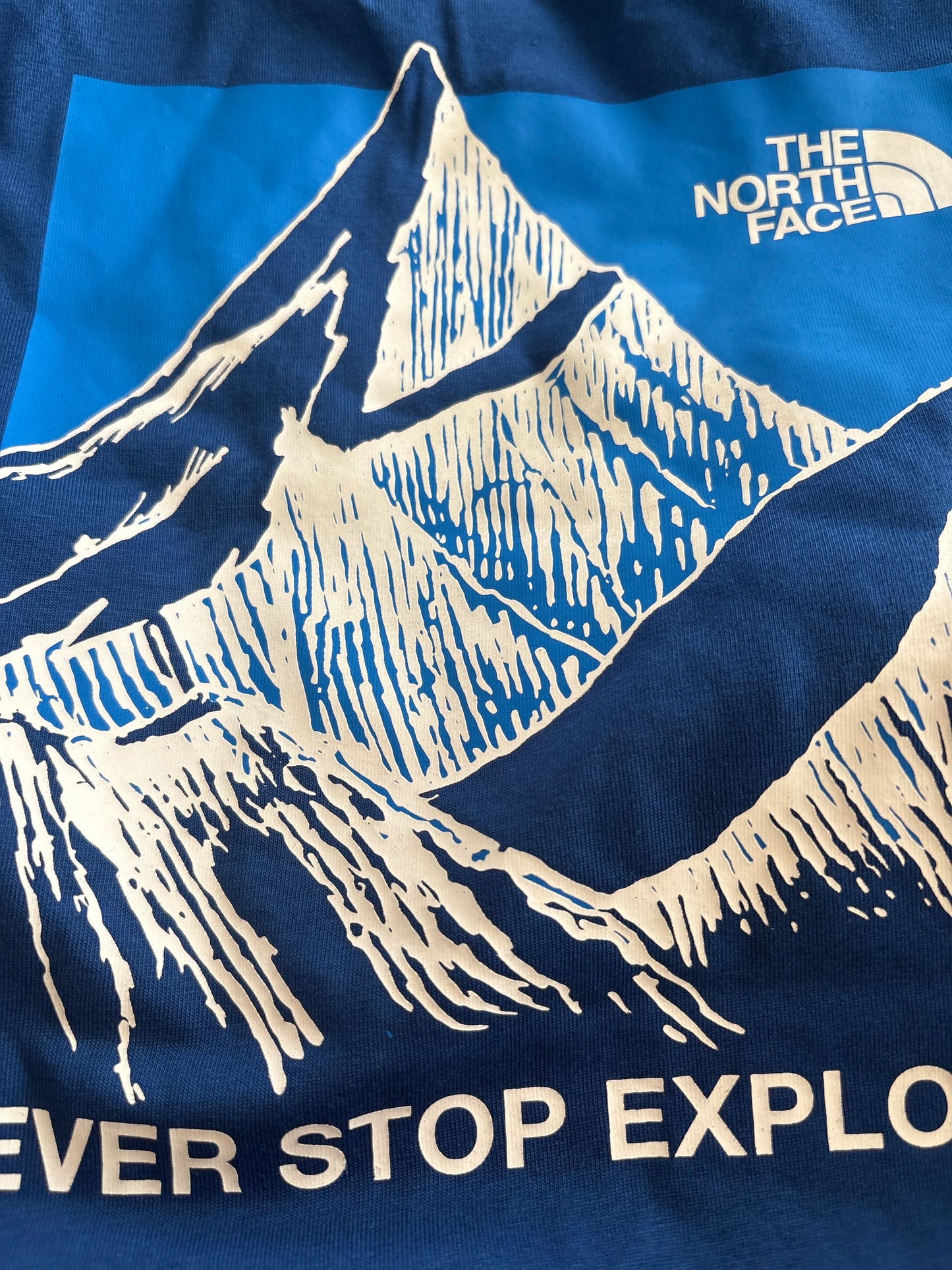 North Face Shirt in blau, Grösse M