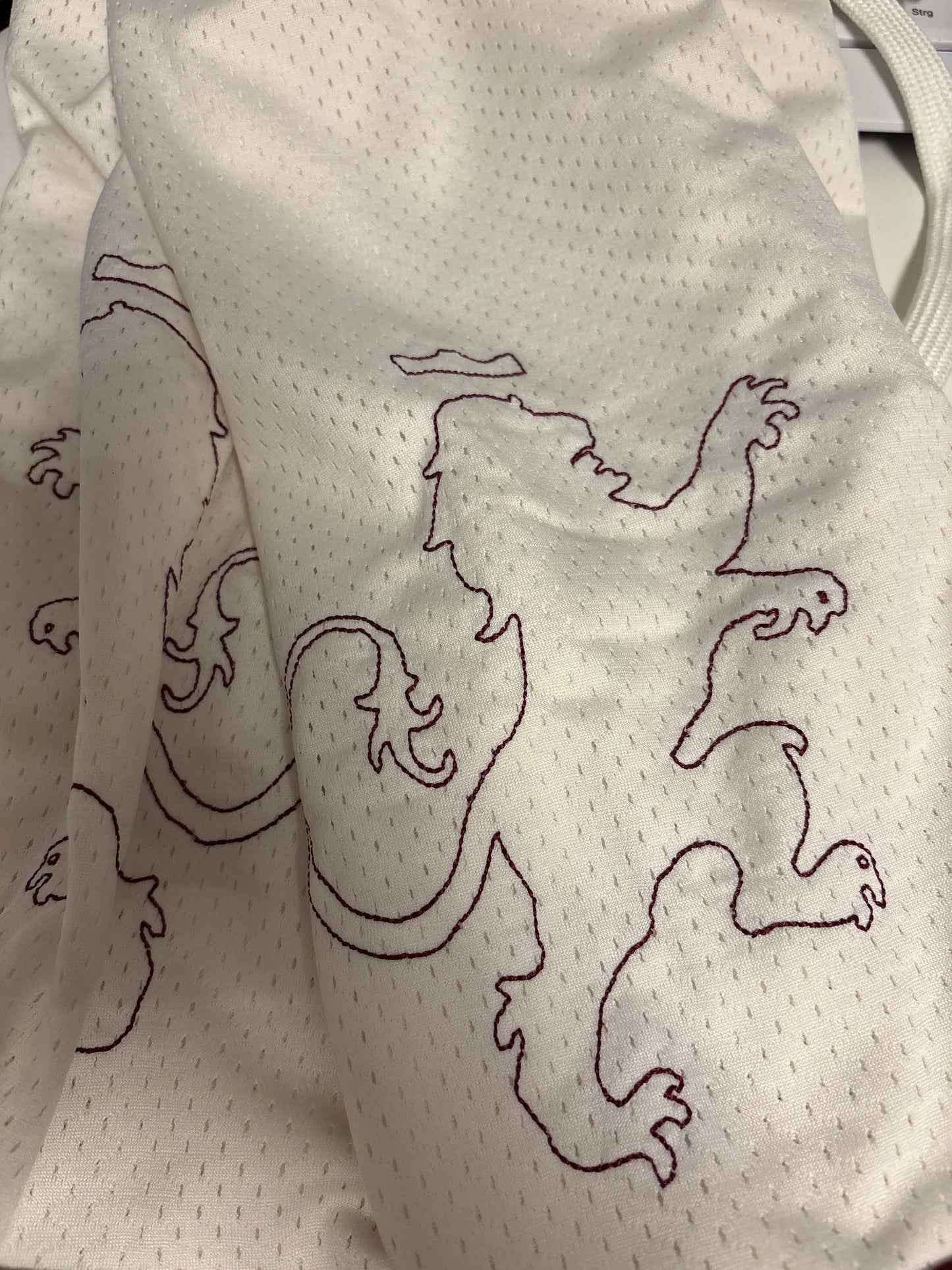 Nike kurze hose Lebron, Größe XXS