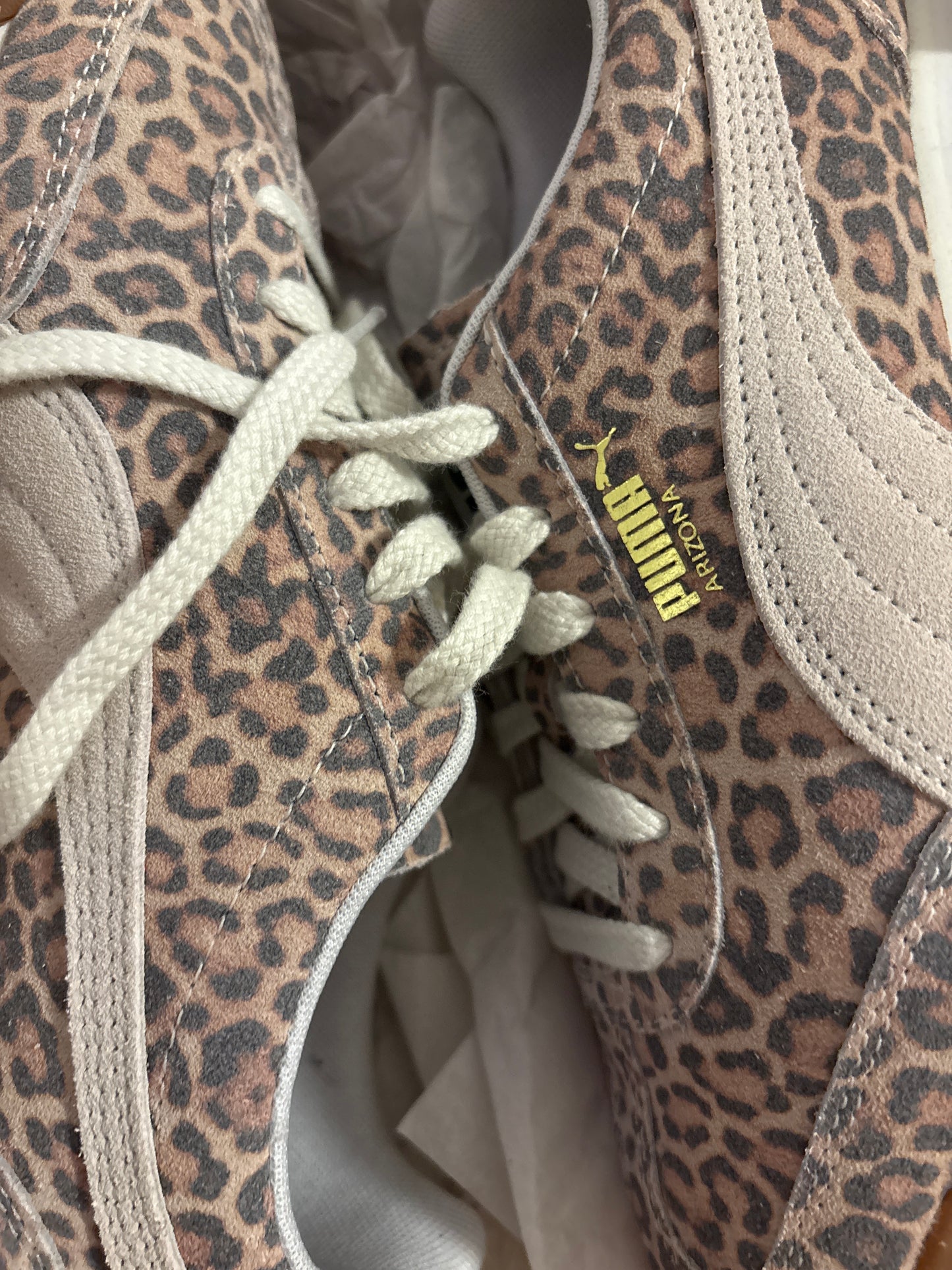 Puma Arizona Leo in Größe 38