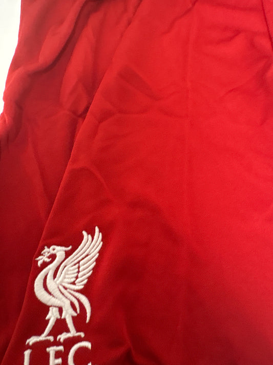 Nike FC Liverpool Hose kurz in rot , Größe L