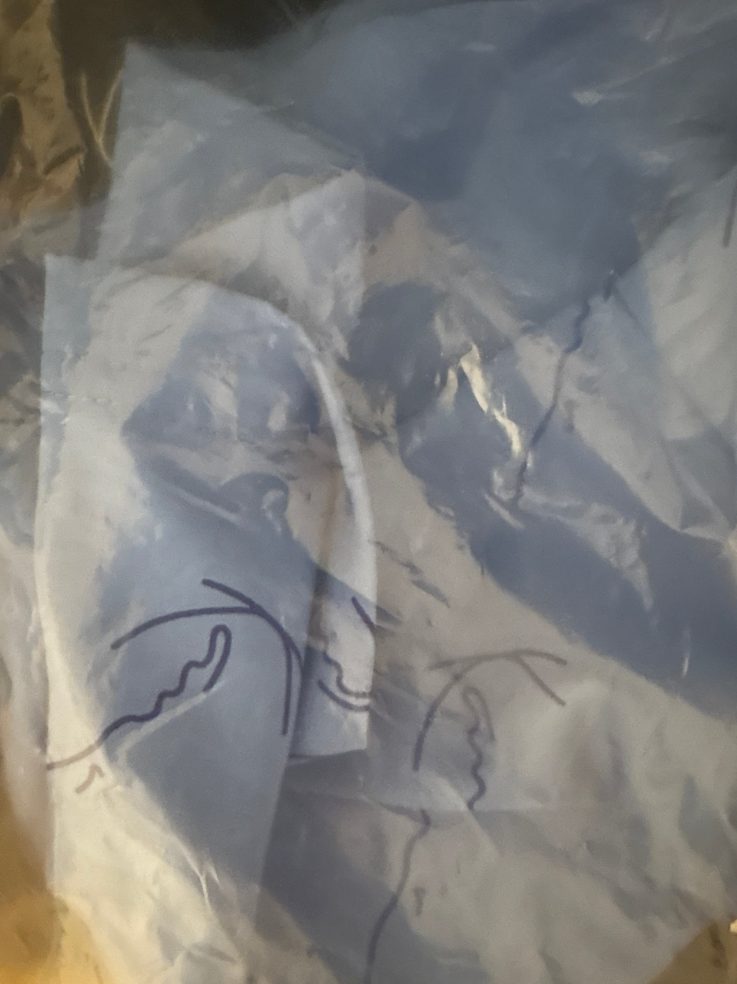 Karl Kani kurze Shorts, Größe L in blau