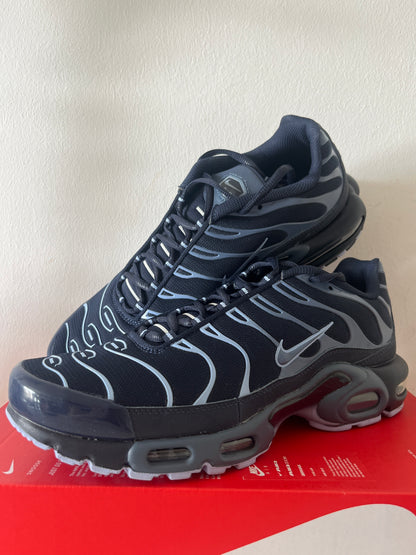 Nike Air Max Plus Tn in Blautönen, Größe 44,5