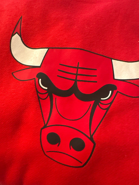 Nike NBA Hoodie Chicago Bulls, Rot, in Größe wählbar