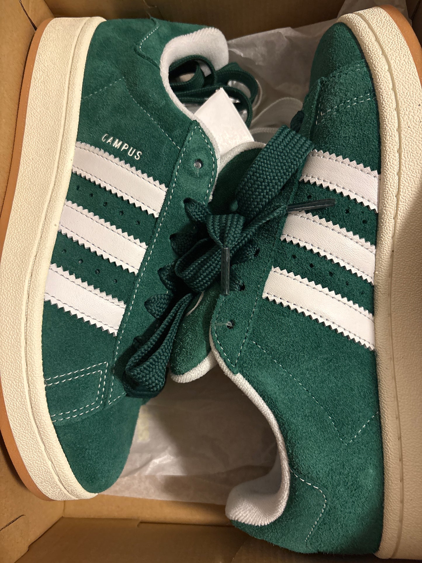 Adidas Campus, grün/weiss, Größe 43 1/3