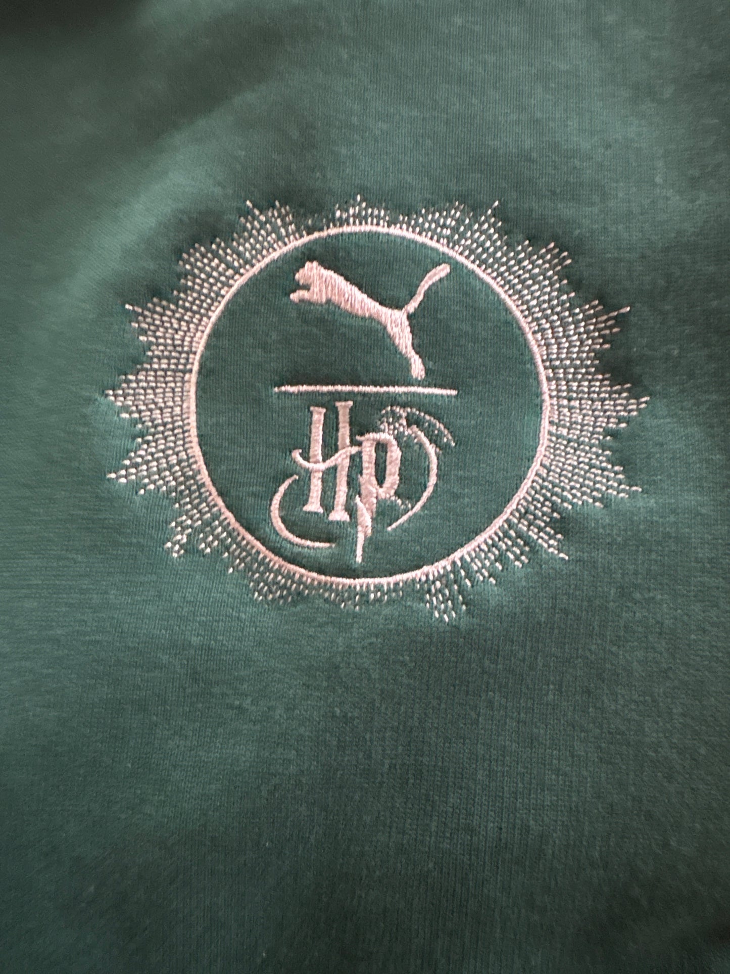 Puma x Harry Potter Hoodie in grün, Größe wählbar