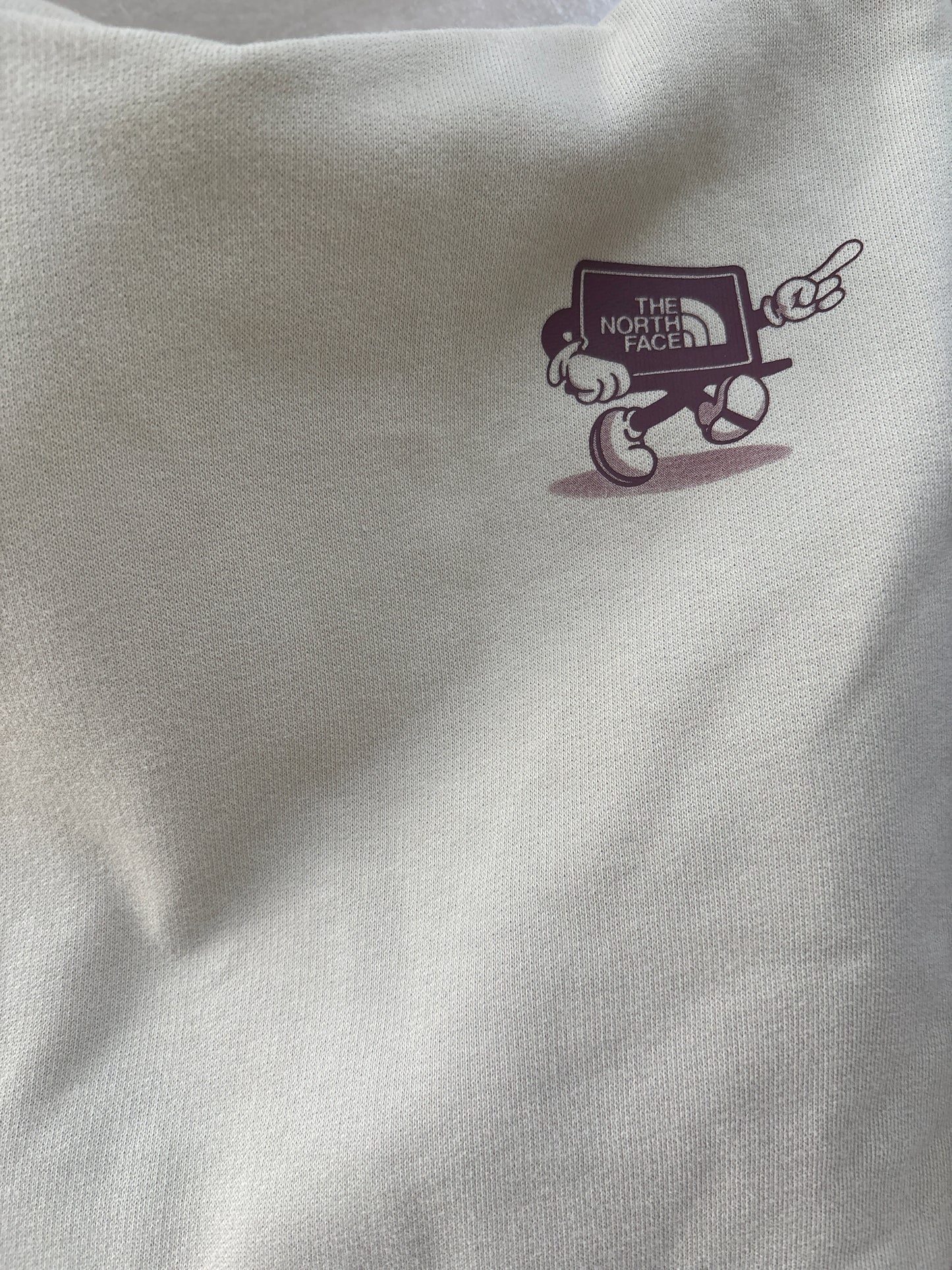 North Face Hoodie beige , Größe wählbar