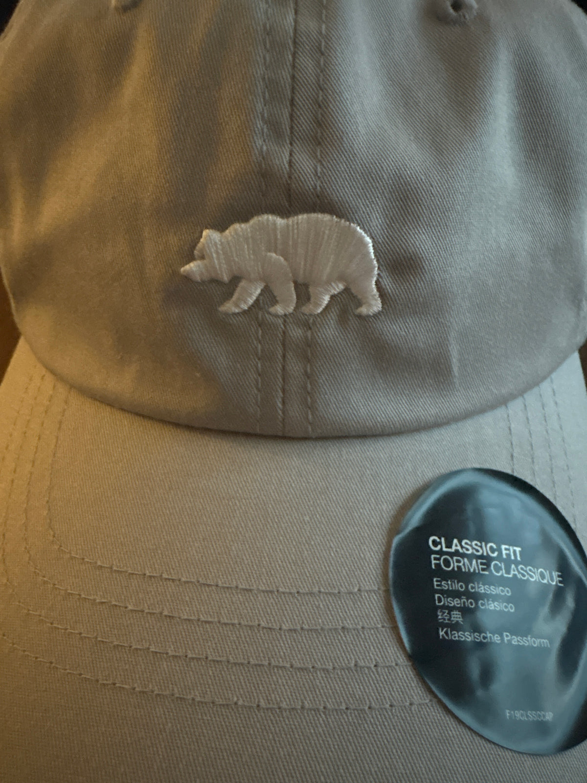 North Face Cap in grau