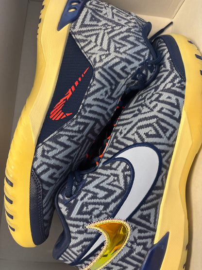 Nike Lebron NXXT Genisus, in beige/blau/grau, Größe wählbar
