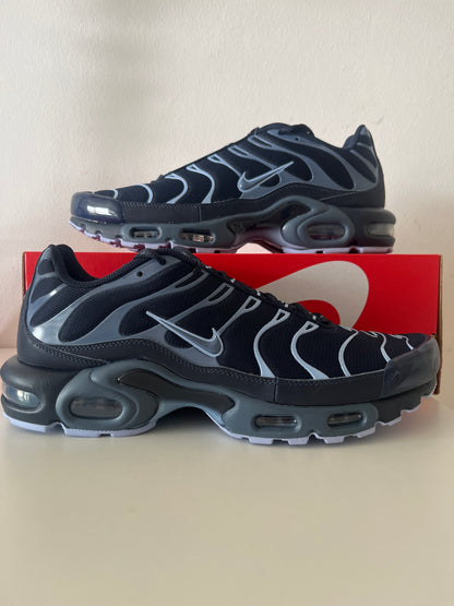 Nike Air Max Plus Tn in Blautönen, Größe 44,5