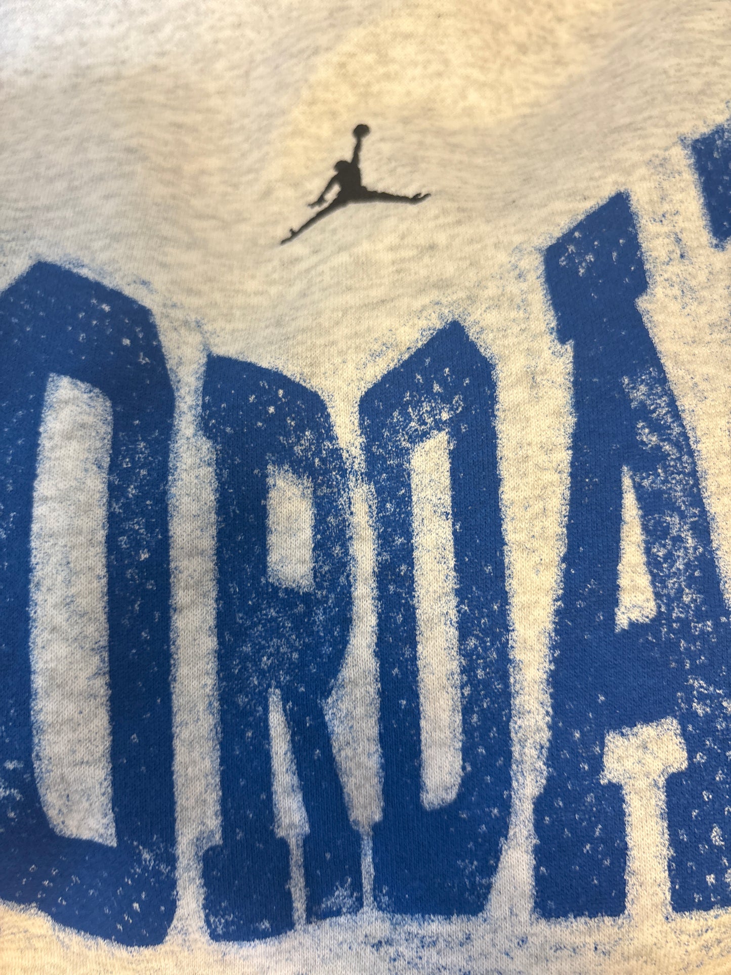 Nike Jordan Hoodie Größe wählbar, grau/blau